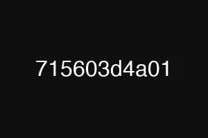 715603d4a01