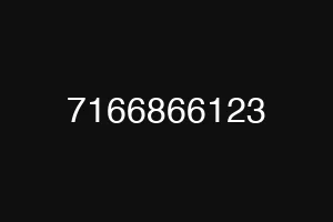 7166866123