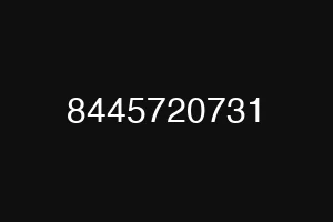 8445720731