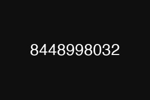 8448998032