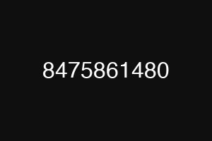 8475861480