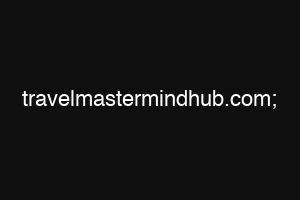 travelmastermindhub.com;